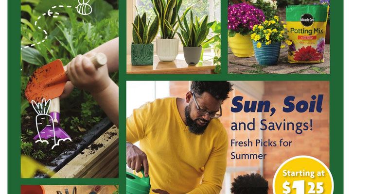 Family Dollar Spring/Summer Book