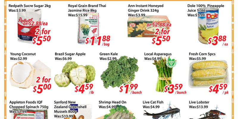 Ample Food Market Brampton flyer