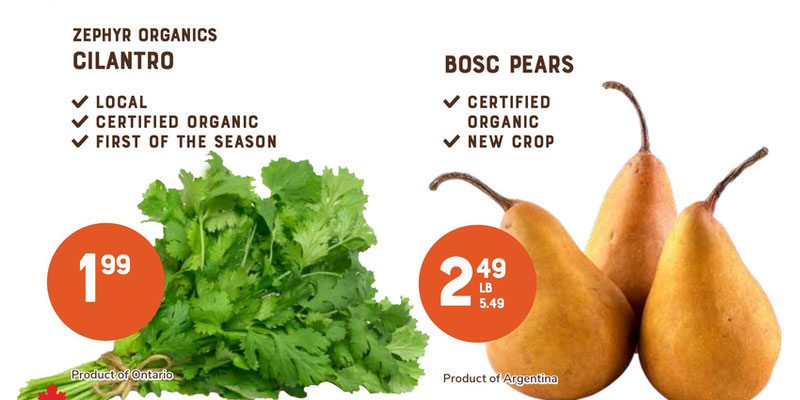 The Sweet Potato Flyer
