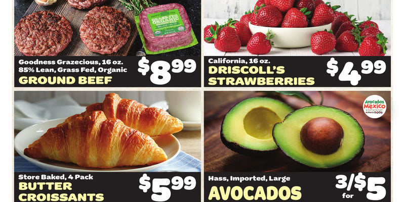 DAgostino flyer