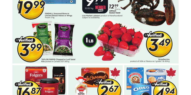 Flyer thumbnail image