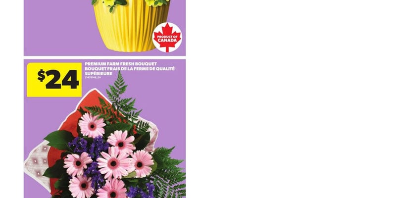 Flyer thumbnail image