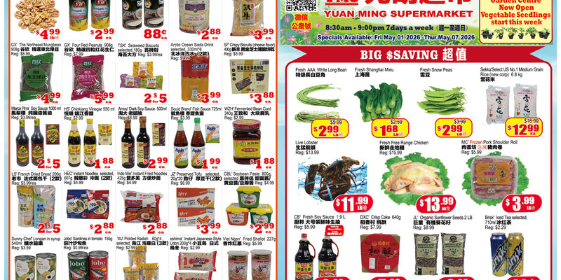 Flyer thumbnail image