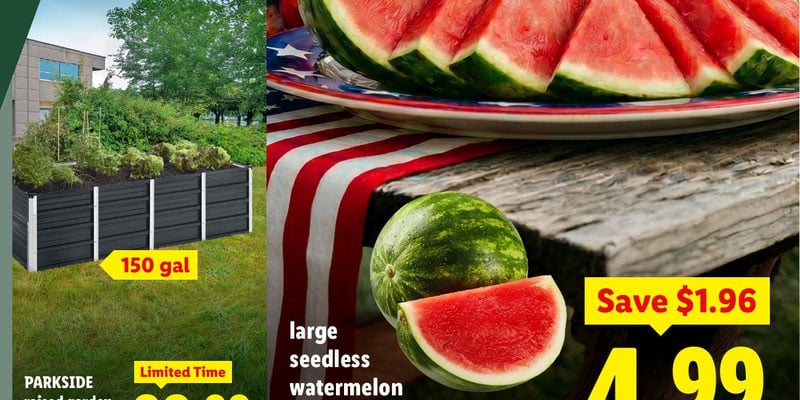 Lidl Weekly Ad - 5/20/2026 - 5/26/2026