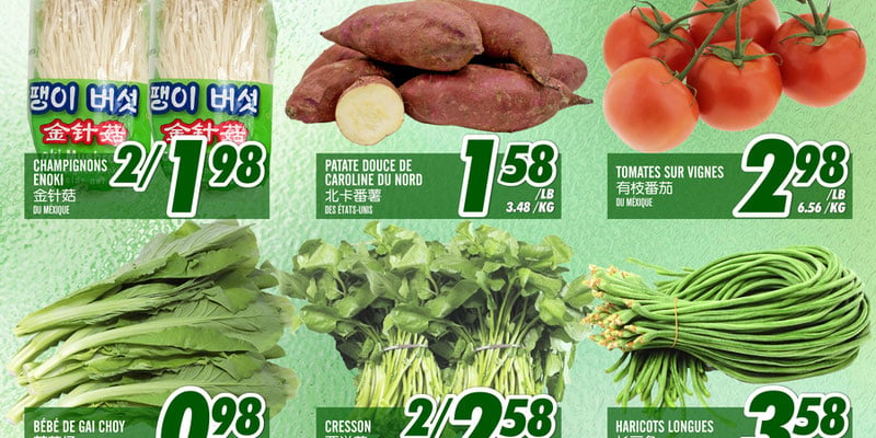 Marche Fu Tai flyer