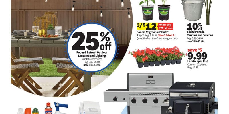 Meijer flyer