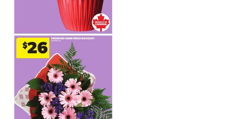Flyer thumbnail image
