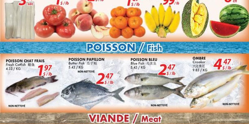 Marche Oceans Plus flyer