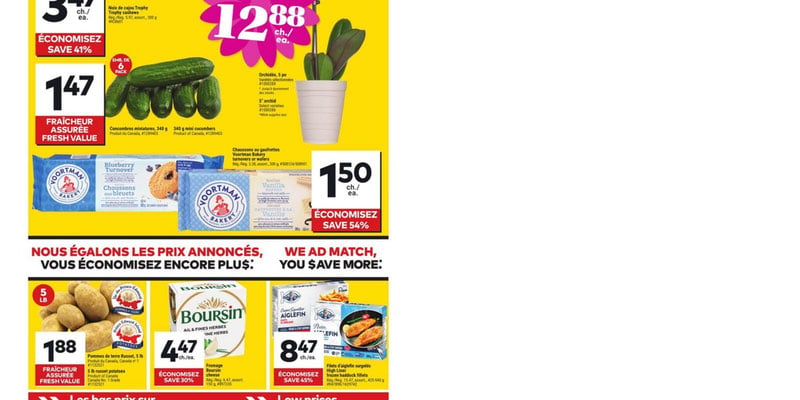Flyer thumbnail image