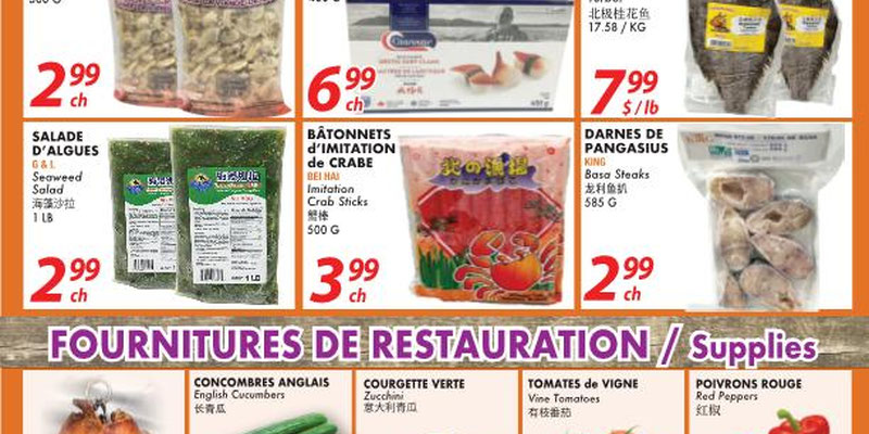 Marche Oceans Plus flyer