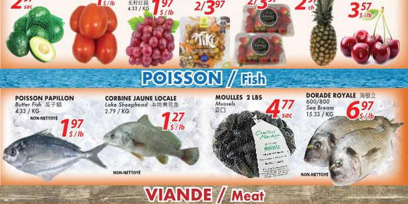 Marche Oceans Plus flyer