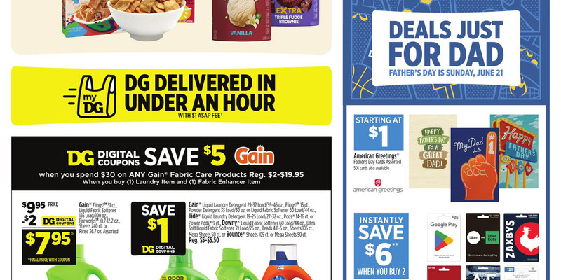 Dollar General flyer