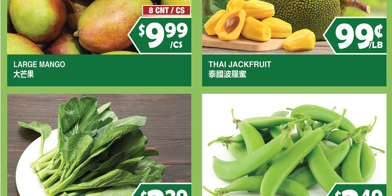 99 Ranch Market Washington flyer